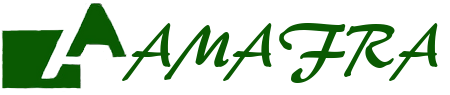Amafra Sistemas S.R.L.